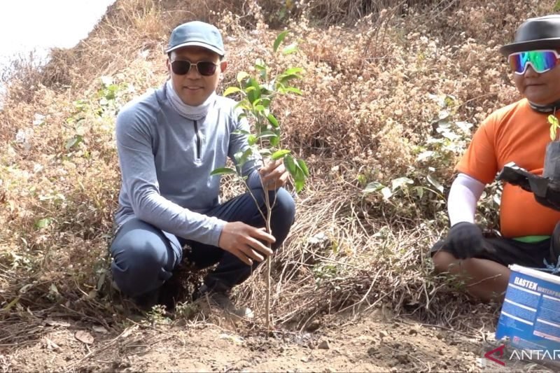 Bappenas tanam pohon di Rinjani jaga lingkungan dan ekonomi